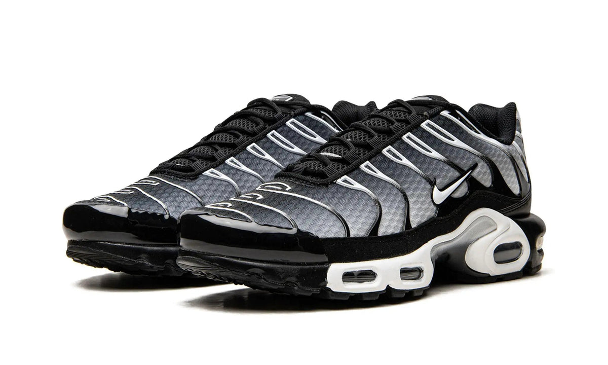 Nike Air Max Plus TN "Black / Silver"