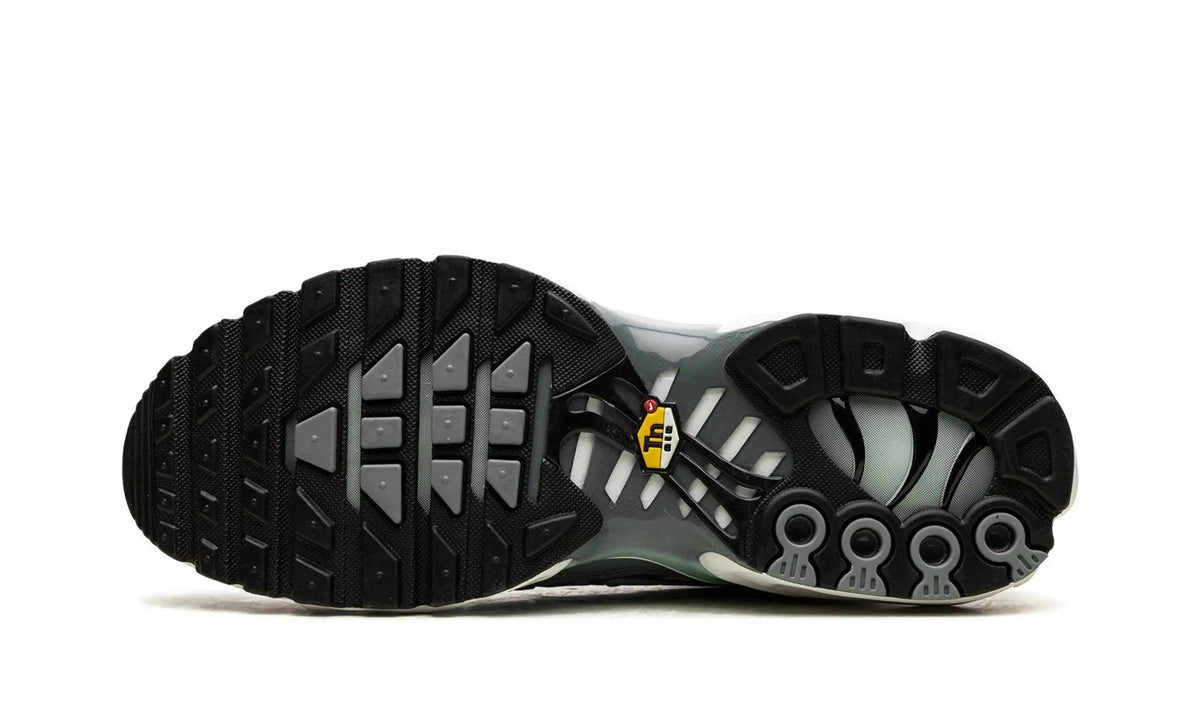 Nike Air Max Plus TN Waterway