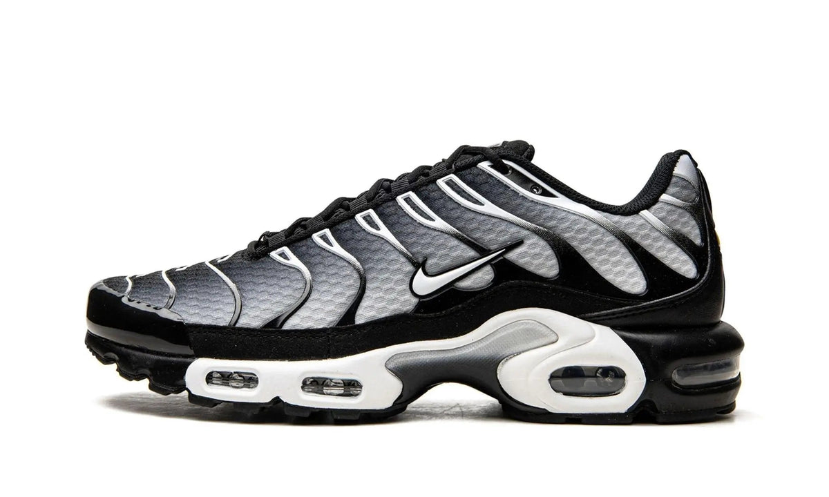 Nike Air Max Plus TN "Black / Silver"