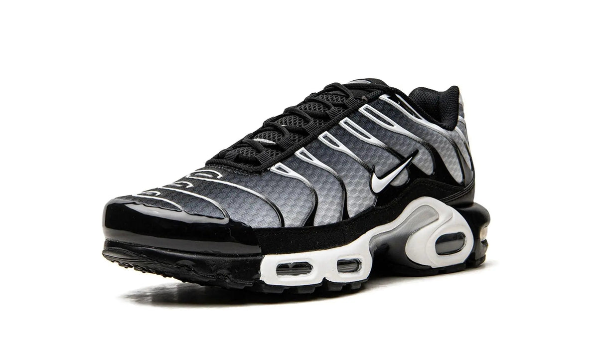 Nike Air Max Plus TN "Black / Silver"