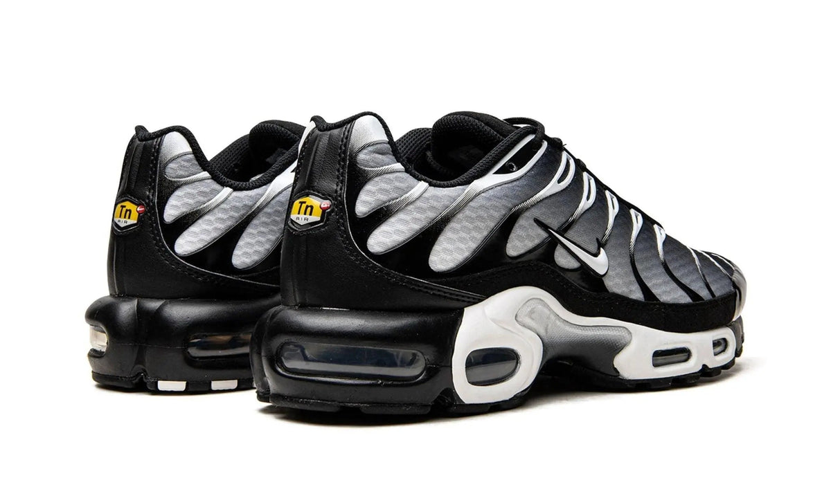 Nike Air Max Plus TN "Black / Silver"
