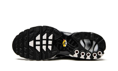 Nike Air Max Plus TN "Black / Silver"