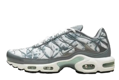 Nike Air Max Grey Edition