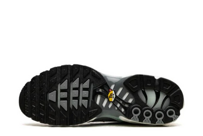 Nike Air Max Grey Edition
