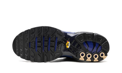 NIKE AIR MAX PLUS "BLACK/BLUE"