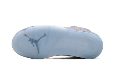 AIR JORDAN 5 "WOLF GREY (2026)"